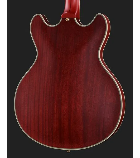 DAngelico Deluxe DC Satin Trans Wine, detalj 5