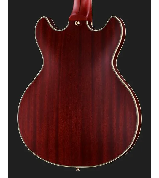 DAngelico Deluxe Mini DC Satin Trans Win, detalj 5
