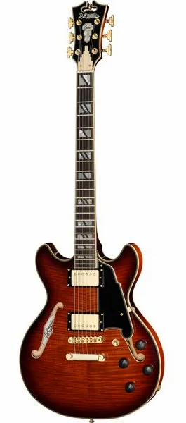 DAngelico Excel Mini DC Amaretto Burst forfra