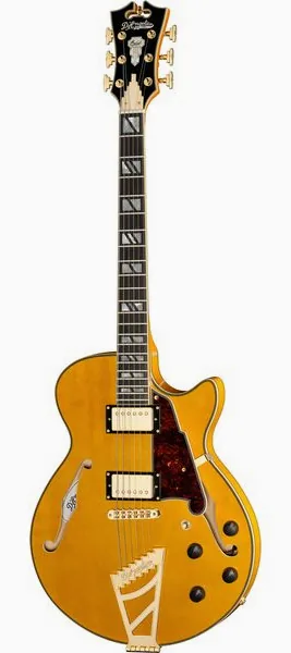 DAngelico Excel SS Amber forfra