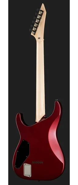ESP E-II M-I NT DCARS, detalj 3