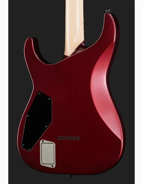 ESP E-II M-I NT DCARS, detalj 5