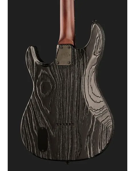 ESP LTD SN-1000 HT Silver Blast, detalj 5