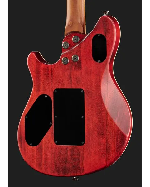 Evh Wolfgang WG Std Exotic BW, detalj 5