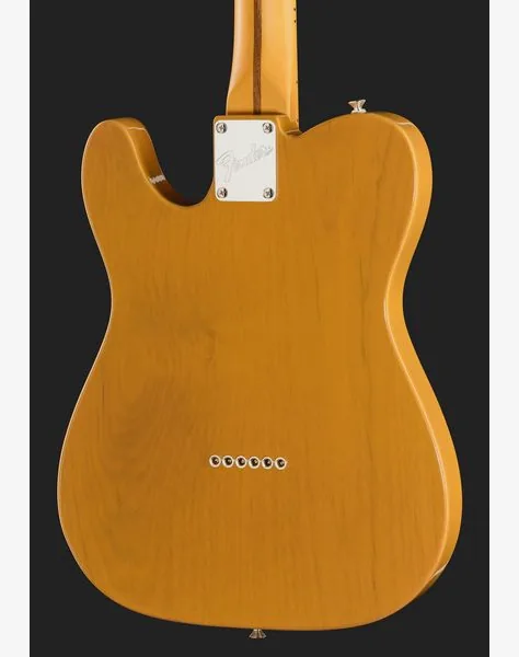 Fender Am Pro Clsc Tele MN BTB, detalj 5