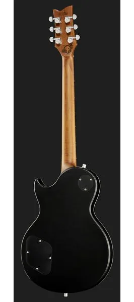 Harley Benton Agufish STD Signature BK, detalj 3