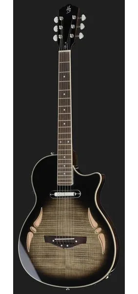 Harley Benton  Nashville-Steel, detalj 2