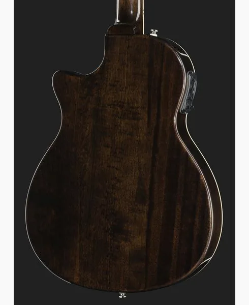 Harley Benton  Nashville-Steel, detalj 5