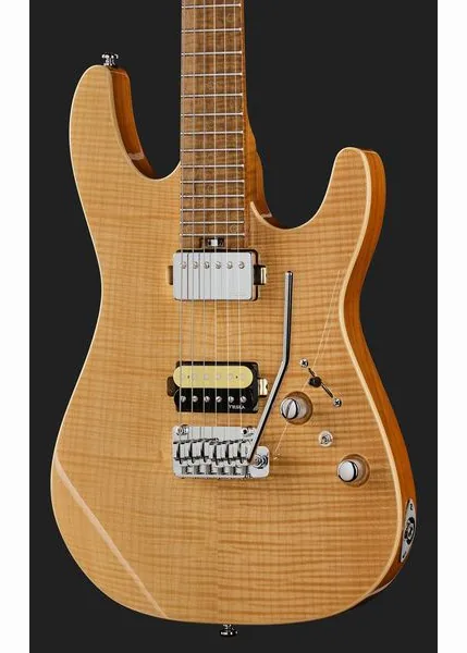 Harley Benton Fusion-IV HH MN FNT, detalj 4