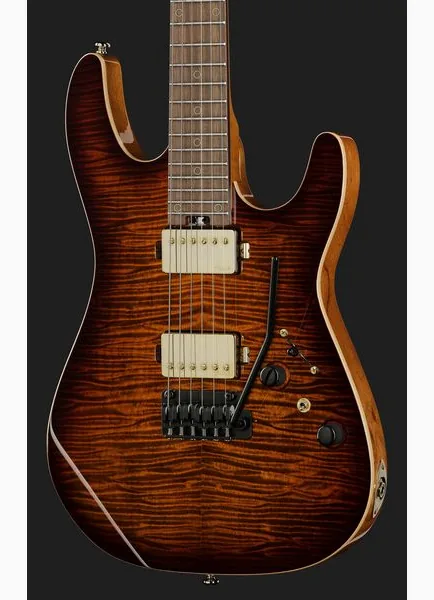 Harley Benton Fusion-IV HH RW FBB, detalj 4