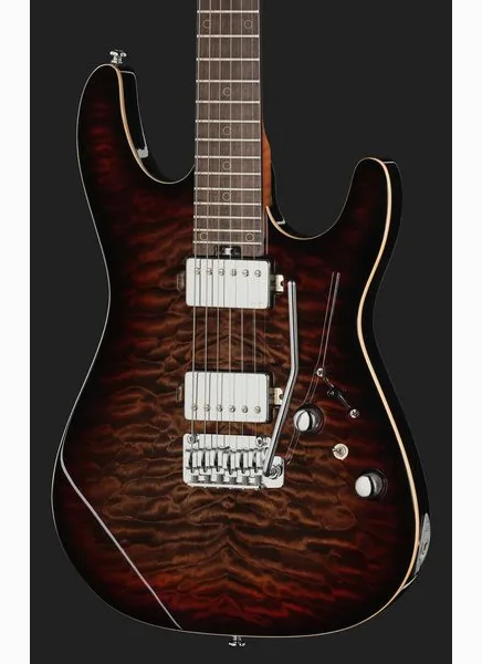 Harley Benton Fusion-IV HH RW QDG, detalj 4