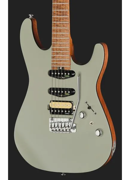 Harley Benton Fusion-IV HSS MN SGR, detalj 4