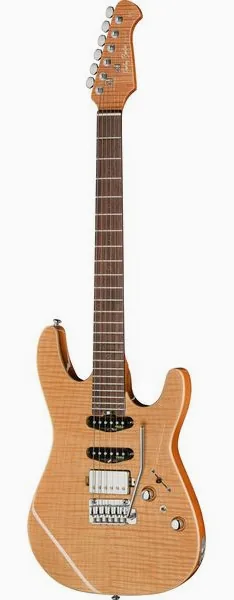 Harley Benton Fusion-IV HSS RW FNT forfra