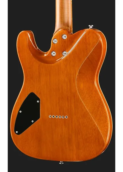 Harley Benton Fusion-T II HH MN HT QBKB, detalj 5