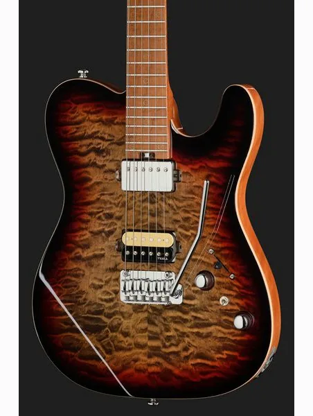 Harley Benton Fusion-T II HH MN QDG, detalj 4