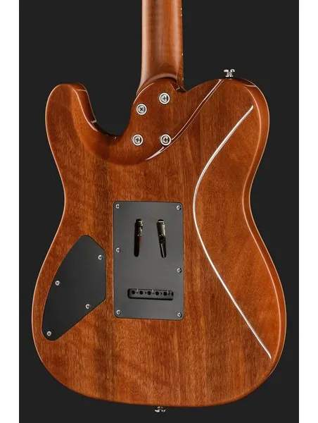 Harley Benton Fusion-T II HH MN QDG, detalj 5