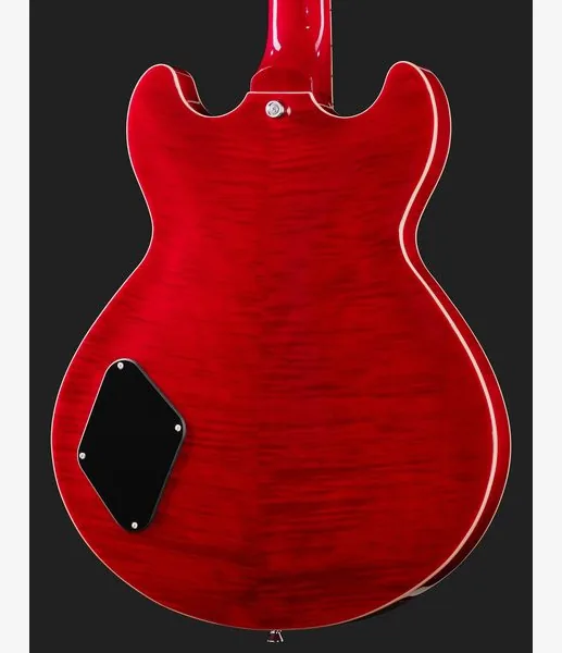 Harley Benton HB-35Plus Rotary TCH, detalj 5