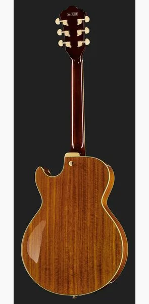 Ibanez AG95K-NT, detalj 3