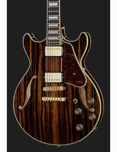 Ibanez AM93ME-NT, detalj 4