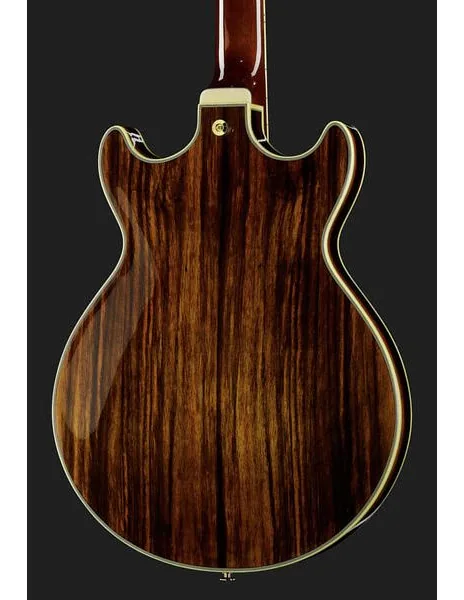 Ibanez AM93ME-NT, detalj 5