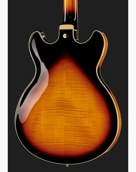 Ibanez AS113-BS, detalj 5