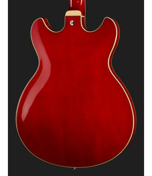 Ibanez AS73-TCD, detalj 5