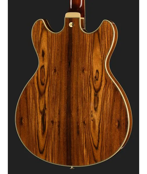 Ibanez AS93BC BK, detalj 5