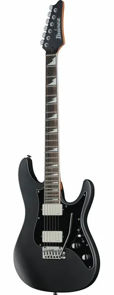 Ibanez BER10 Bernth Signature BK forfra