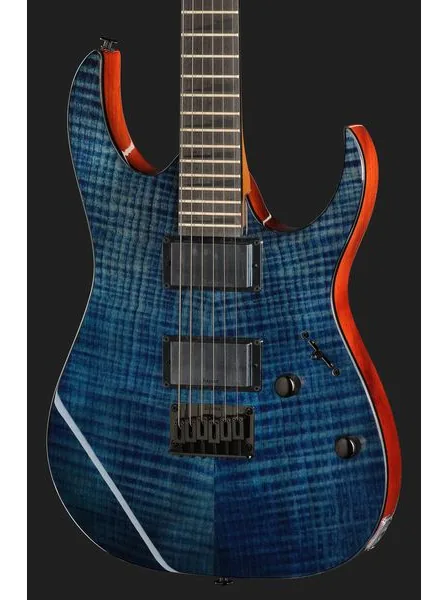Ibanez GRGR221FA-TDK, detalj 4