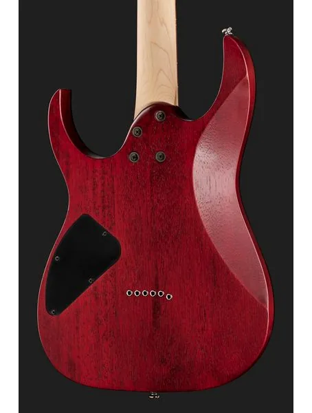 Ibanez RG421PB-CHF, detalj 5