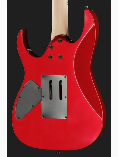 Ibanez RG470DXW-CA, detalj 5