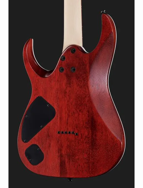 Ibanez RGA42FM-TGF, detalj 5