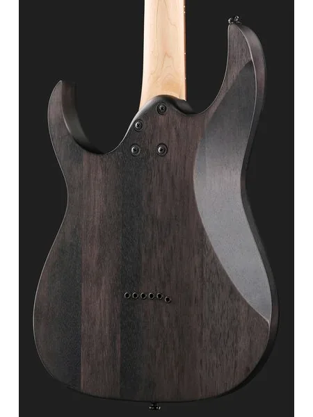 Ibanez RGR431PB-CGF, detalj 5