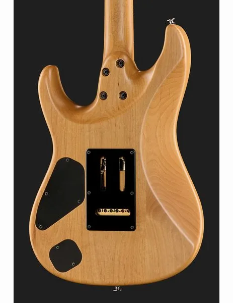 Ibanez TQM2-CUF, detalj 5