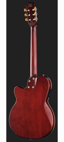 Larry Carlton G5N Natural, detalj 3