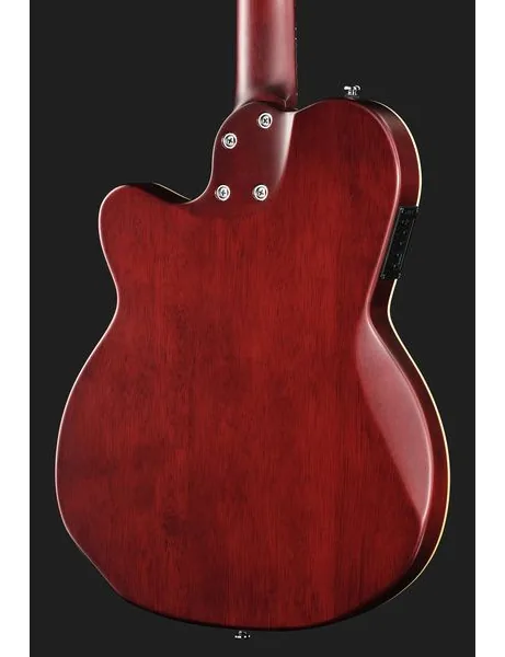 Larry Carlton G5N Natural, detalj 5