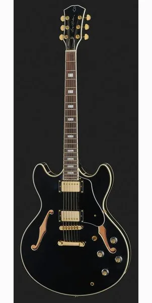 Larry Carlton H7 BK, detalj 2