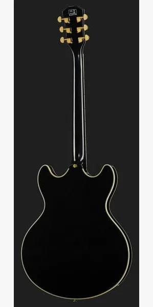 Larry Carlton H7 BK, detalj 3