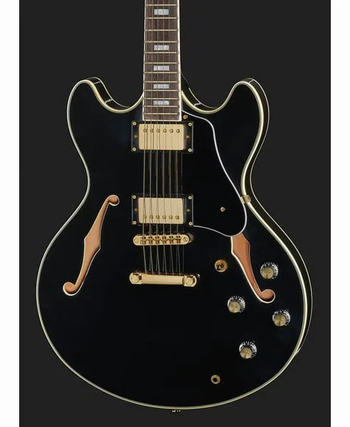 Larry Carlton H7 BK, detalj 4