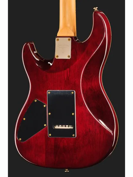 Larry Carlton S10 HSS Natural Burst, detalj 5