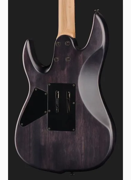 Larry Carlton X5 TBKS, detalj 5