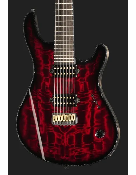 Mayones Guitars Regius 7 TDRG, detalj 4