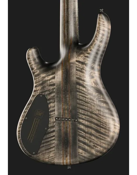 Mayones Guitars Regius 7 TDRG, detalj 5