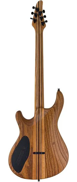 Mayones Guitars Regius Core 6 Poplar, detalj 2