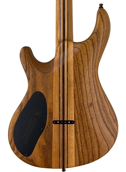 Mayones Guitars Regius Core 6 Poplar, detalj 4