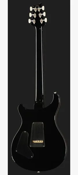 PRS 40th Anniv. Custom 24 SuZ #2, detalj 3
