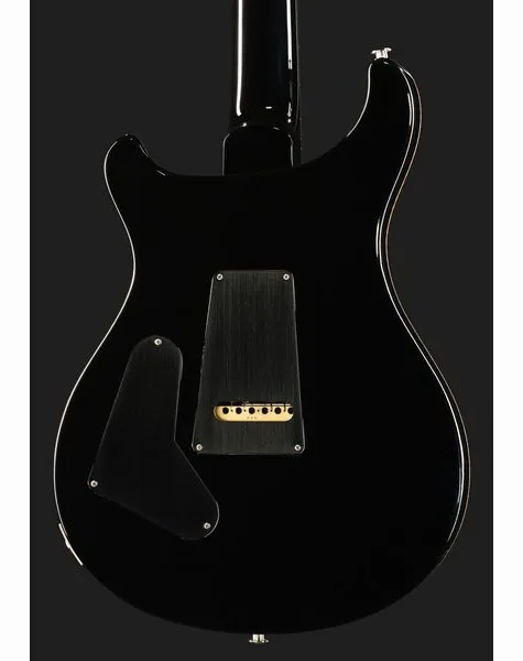 PRS 40th Anniv. Custom 24 SuZ #2, detalj 5