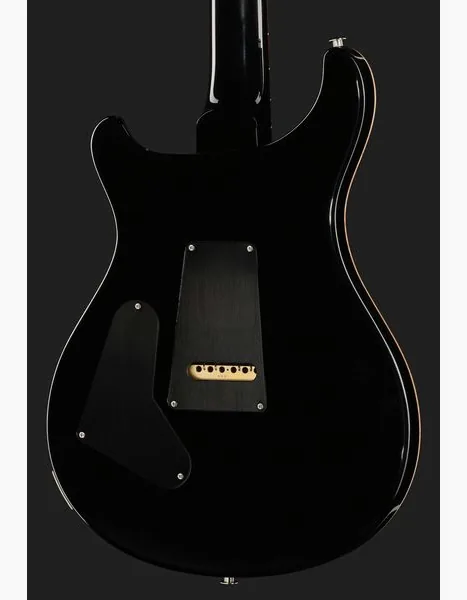 PRS 40th Anniversary Custom 24 SuZ, detalj 5