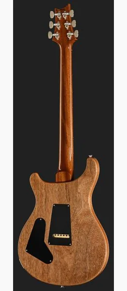 PRS 40th Anniversary Custom 24 TE, detalj 3