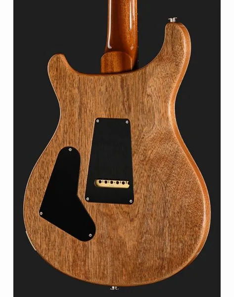 PRS 40th Anniversary Custom 24 TE, detalj 5